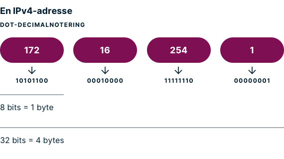 Et eksempel på IPv4-adresse dot-decimalnotering.