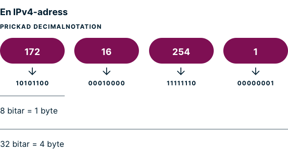 Ett exempel på en IPv4-adress med prickad decimalnotation.